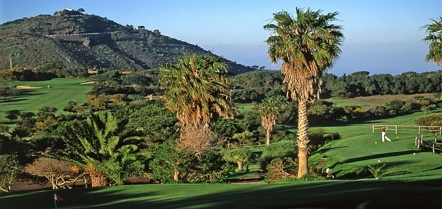 Real Club de Golf Las Palmas Palmen Meer