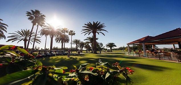 Gran Canaria - Maspalomas Golf Palmen